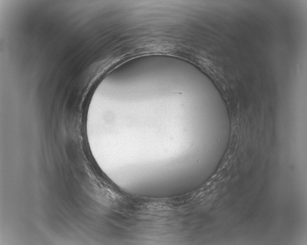 X0000059820146200510211156