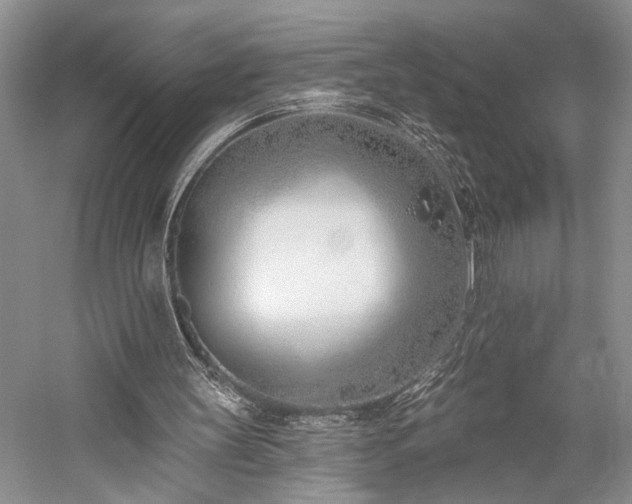 X0000059820147200510211156