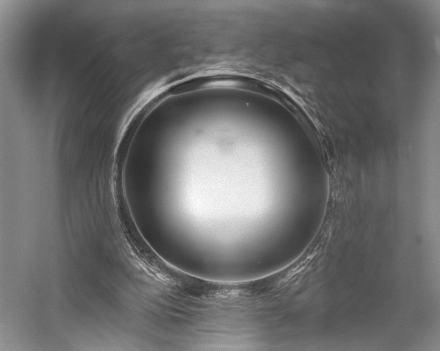 X0000059820152200510211156