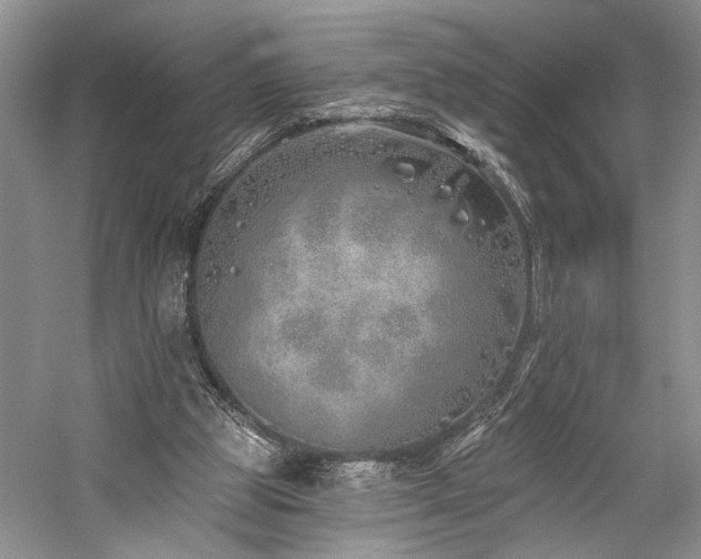 X0000059820153200510211156