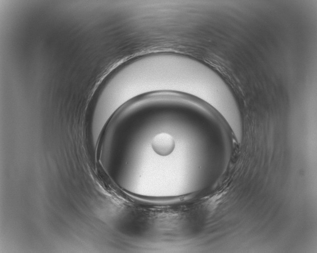 X0000059820156200510211156