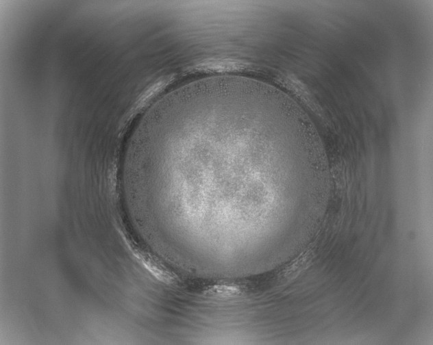 X0000059820159200510211156