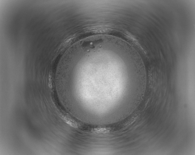 X0000059820161200510211156