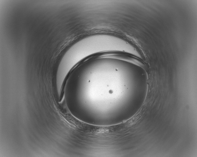 X0000059820162200510211156