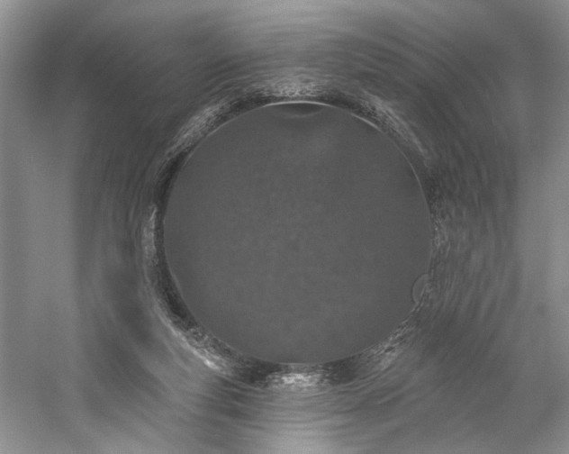 X0000059820163200510211156