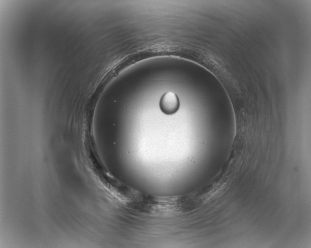 X0000059820164200510211156