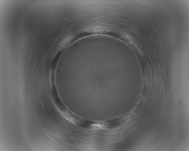 X0000059820167200510211156