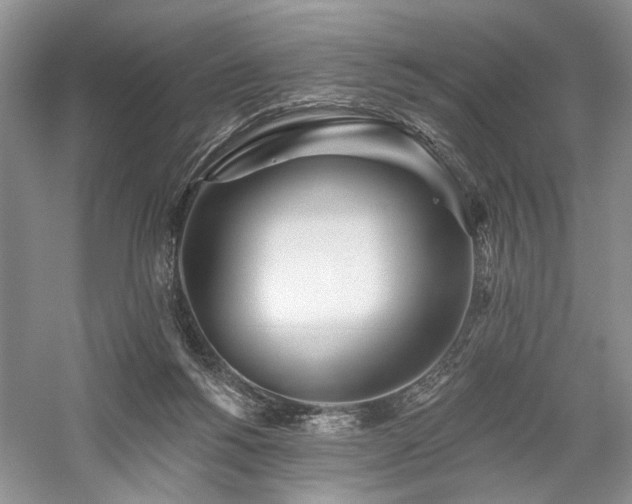 X0000059820168200510211156