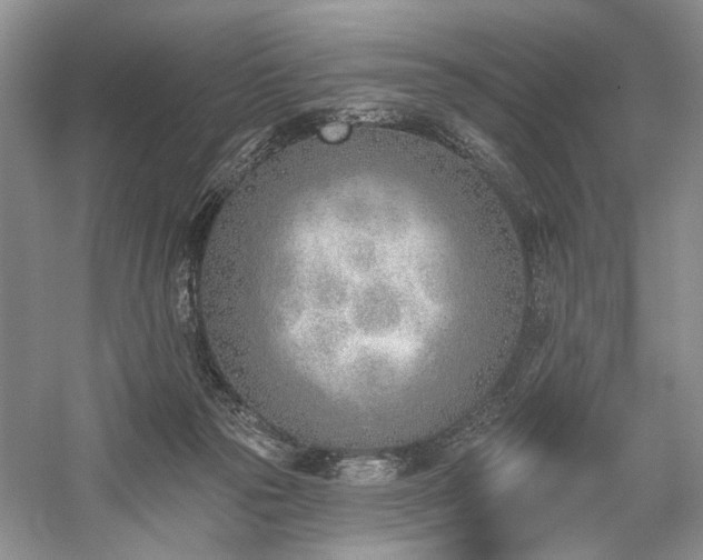 X0000059820169200510211156