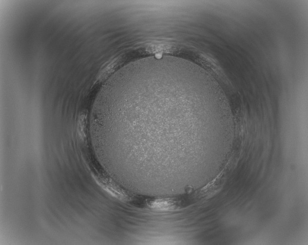 X0000059820171200510211156