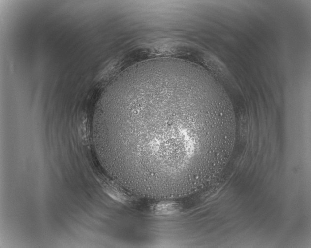 X0000059820173200510211156