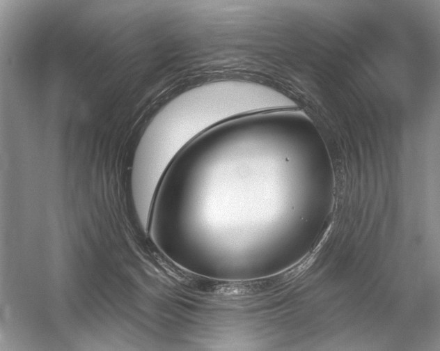 X0000059820174200510211156