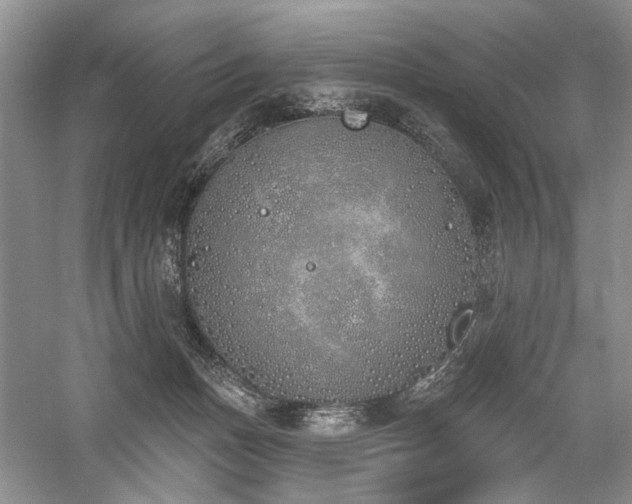 X0000059820175200510211156