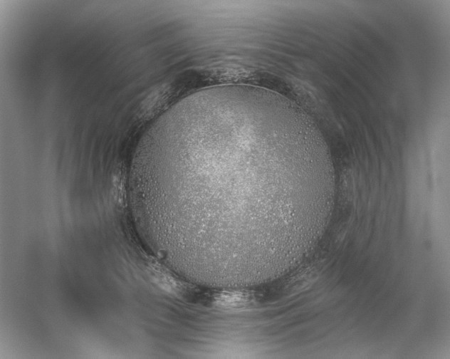 X0000059820177200510211156