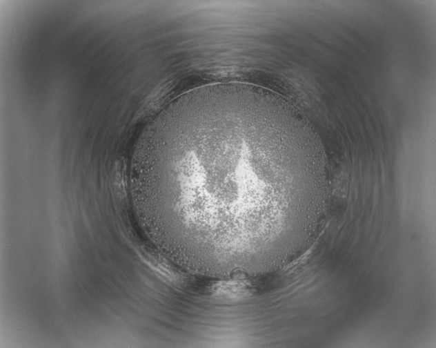 X0000059820179200510211156