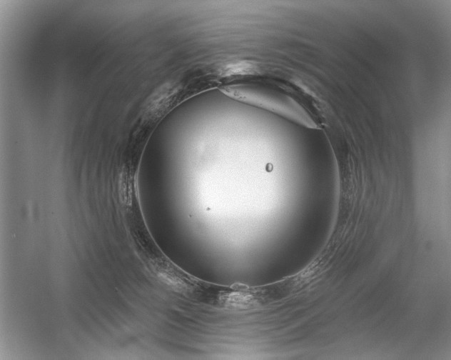 X0000059820180200510211156