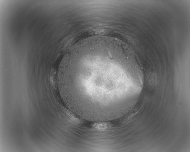 X0000059820181200510211156