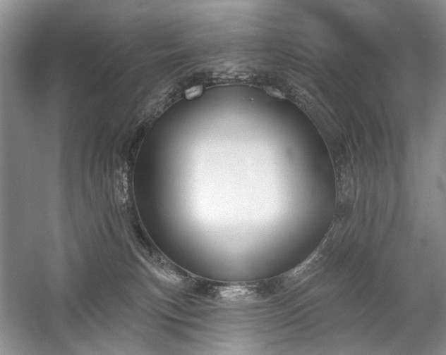 X0000059820183200510211156