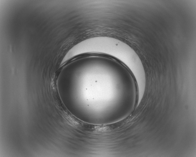 X0000059820185200510211156