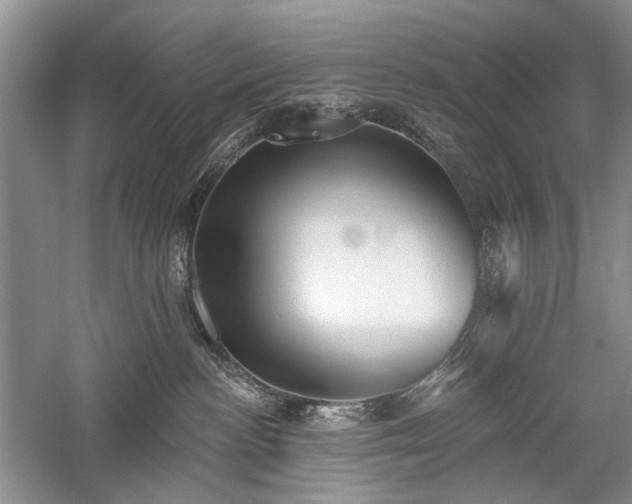 X0000059820188200510211156