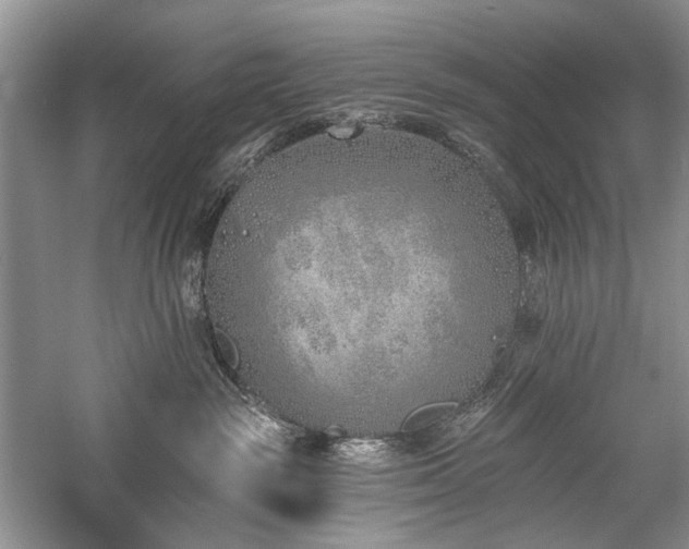 X0000059820189200510211156