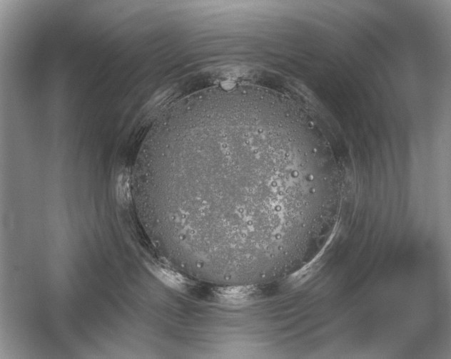 X0000059820191200510211156