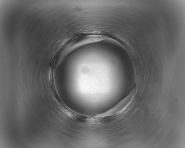 X0000059820192200510211156