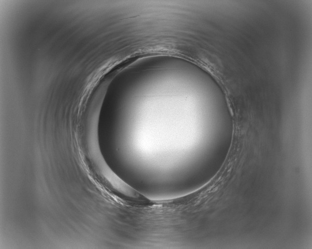 X0000059820193200510211155