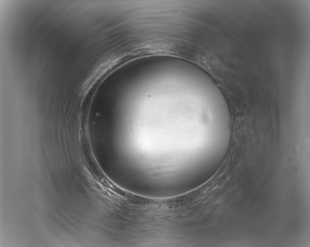 X0000059820194200510211155