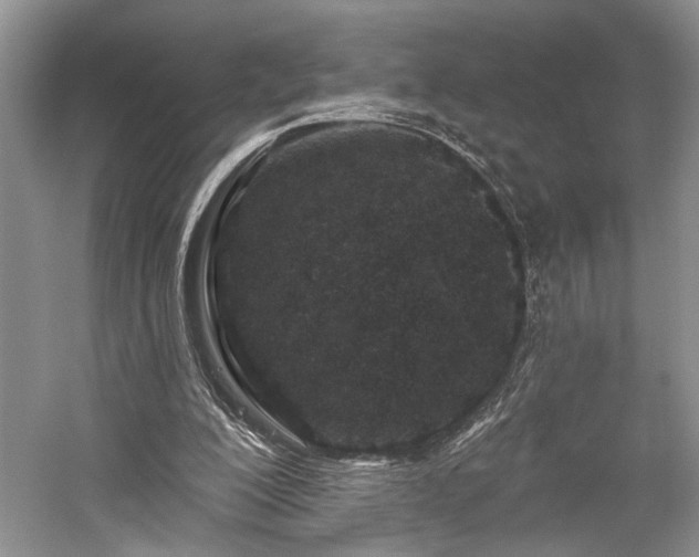 X0000059820200200510211155