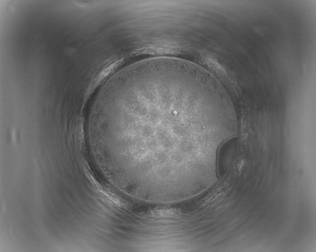 X0000059820202200510211155