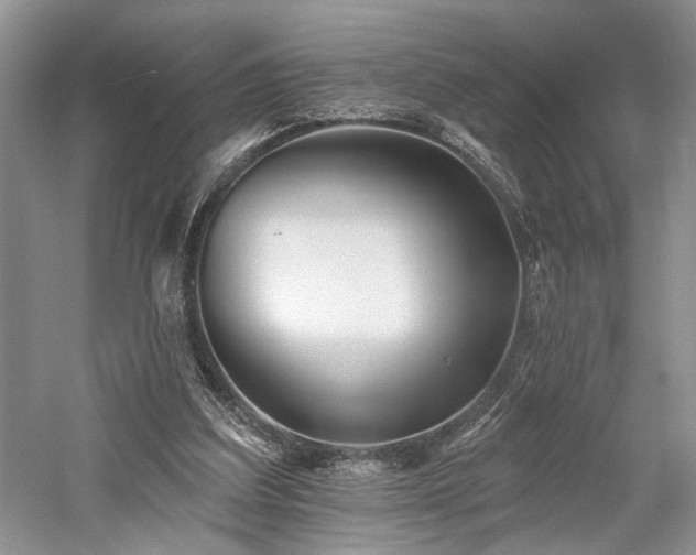 X0000059820203200510211155