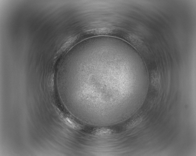 X0000059820206200510211155