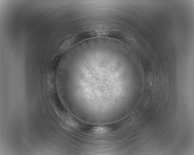 X0000059820218200510211155