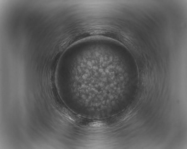 X0000059820219200510211155