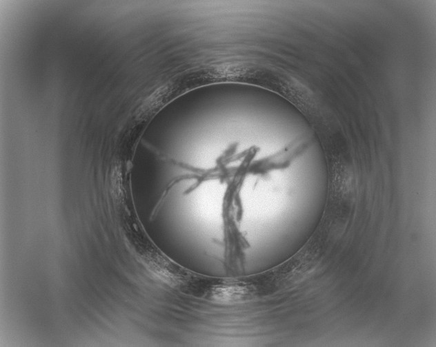 X0000059820220200510211155