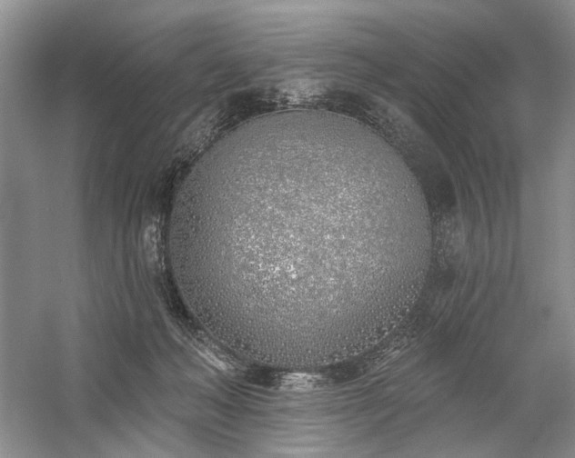 X0000059820222200510211155