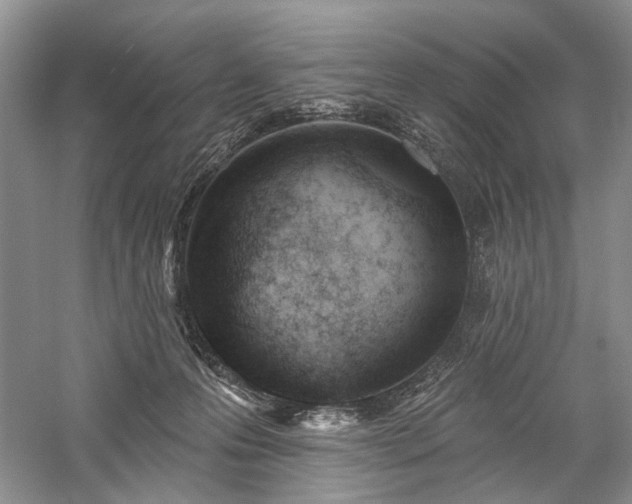 X0000059820223200510211155