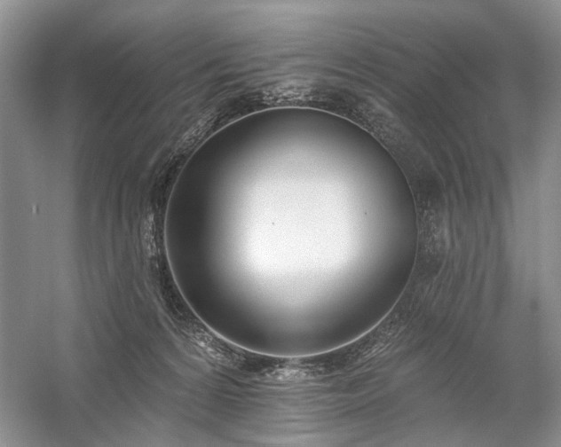 X0000059820224200510211155