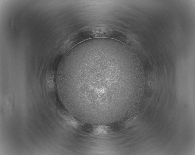 X0000059820226200510211155