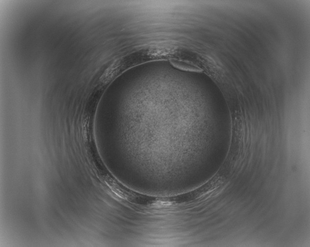 X0000059820227200510211155