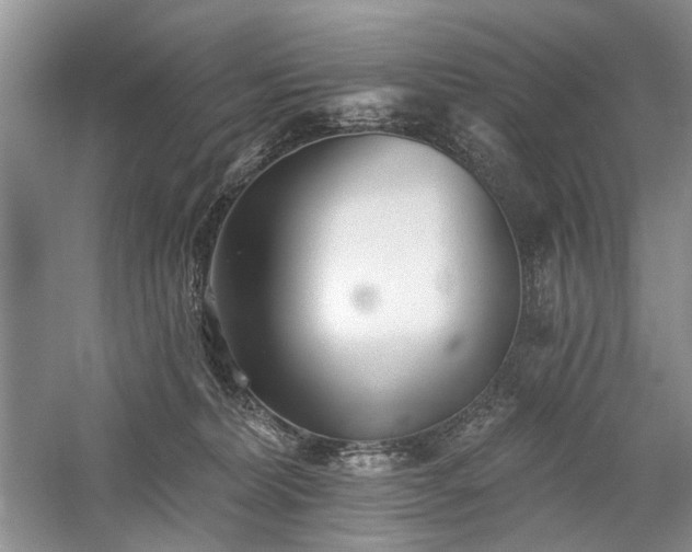 X0000059820228200510211155