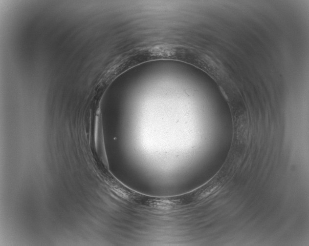 X0000059820229200510211155