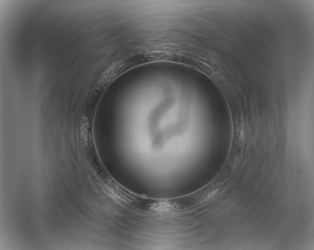 X0000059820231200510211155