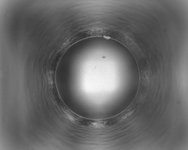 X0000059820232200510211155