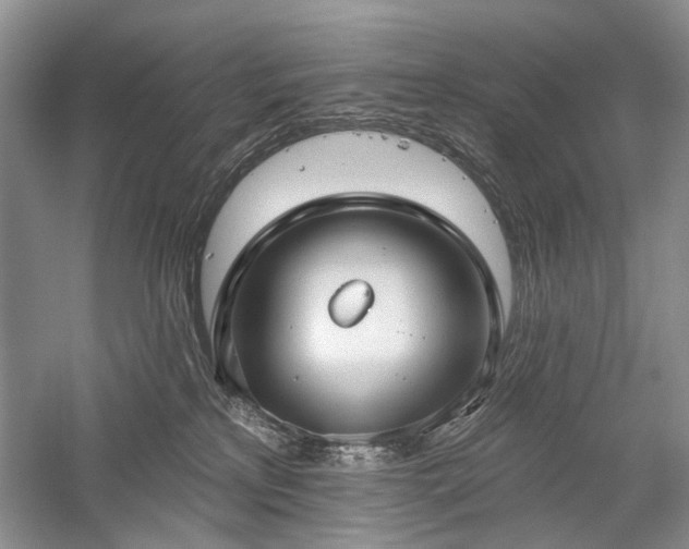 X0000059820233200510211155