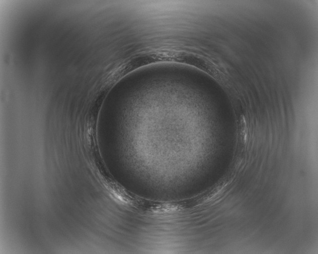 X0000059820235200510211155