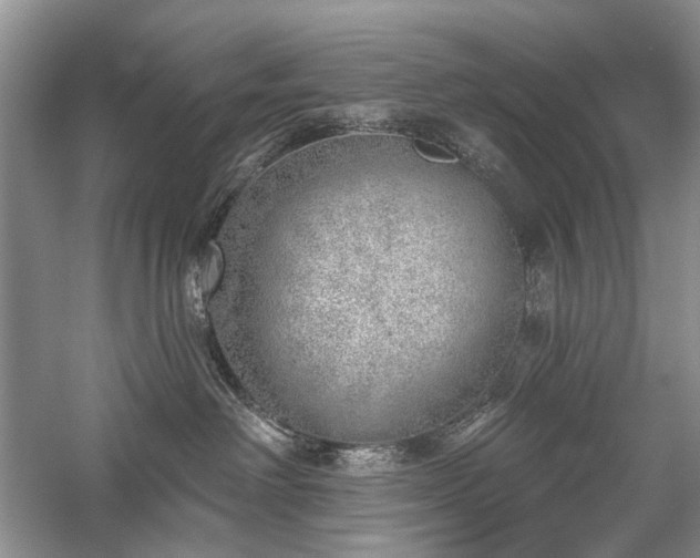 X0000059820238200510211155