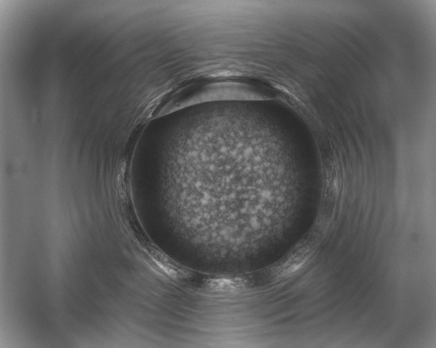 X0000059820239200510211155