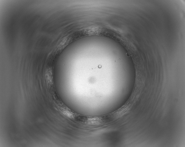 X0000059820240200510211155